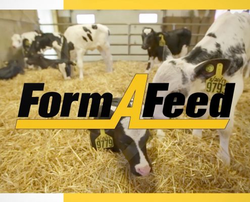 Form A Feed - Agriculture