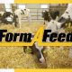 Form A Feed - Agriculture
